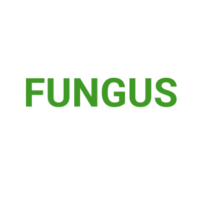 FUNGUS